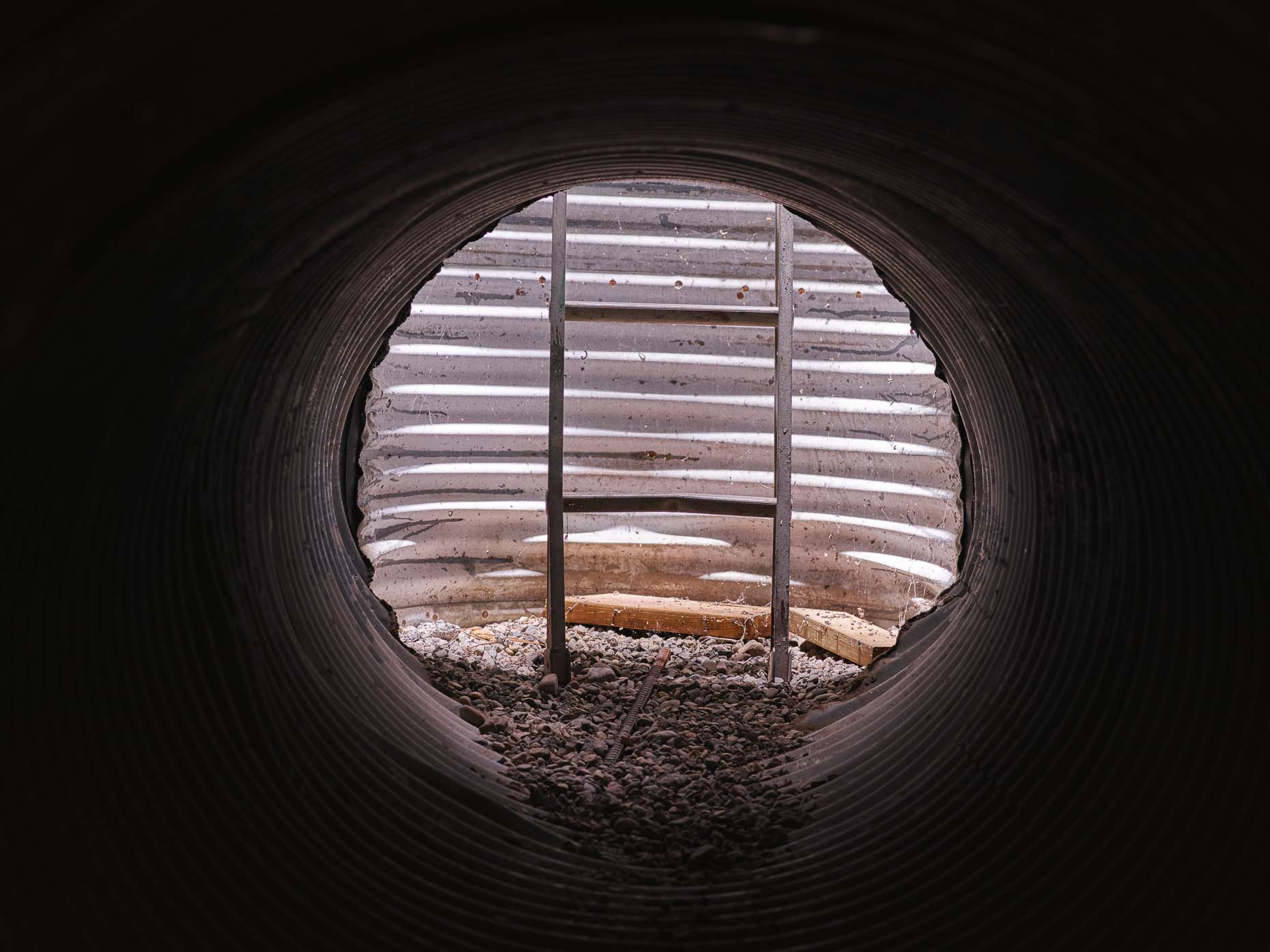 Shelter 25