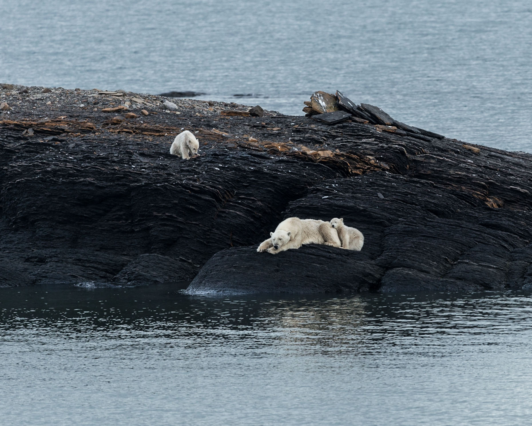Svalbard-10