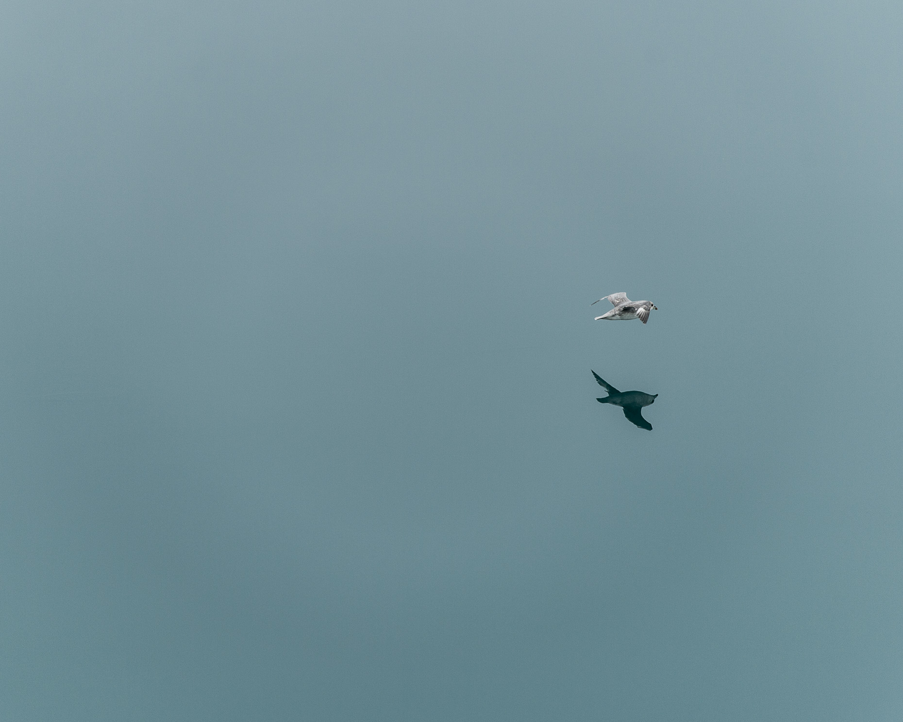 Svalbard-9
