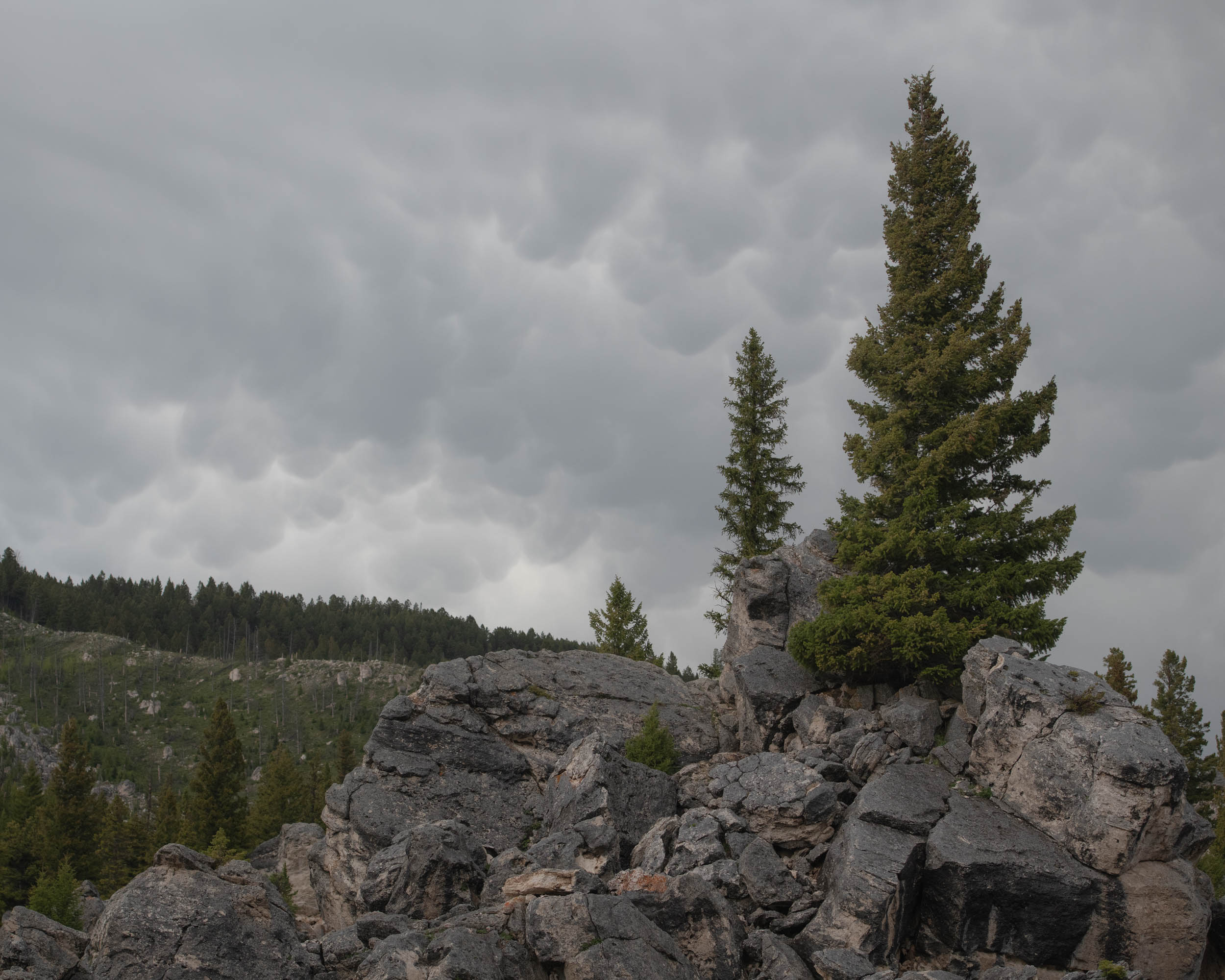 YellowstoneRoadside-17