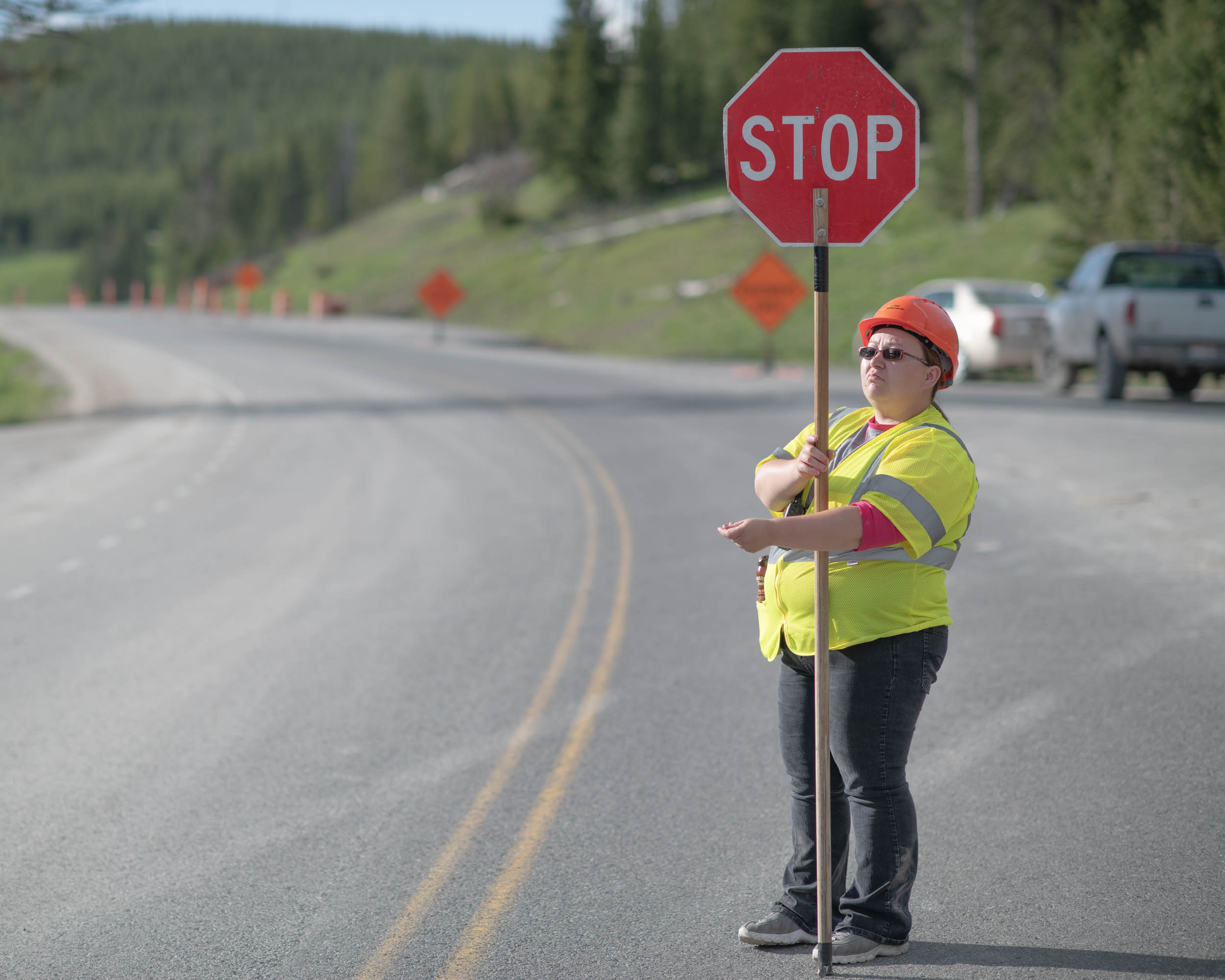 YellowstoneRoadside-5