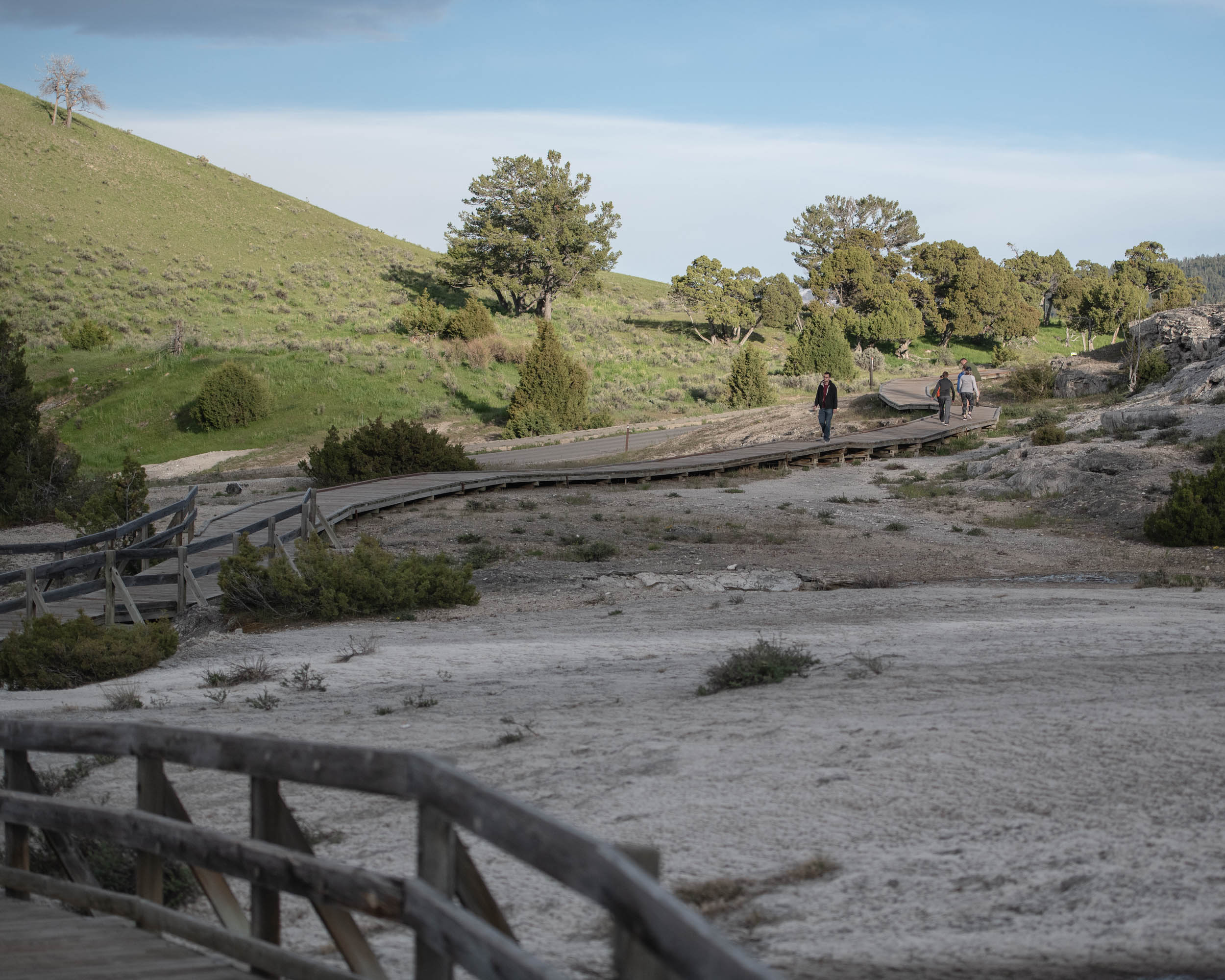 YellowstoneRoadside-9